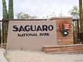 Saguaro NP East 2018